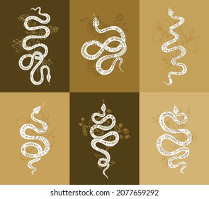 Vector set of linear mystical prints, esoteric icons and symbols of snakes with plants. Interior floral posters with serpent in trendy style. Abstract backgrounds, banners, magical posters.