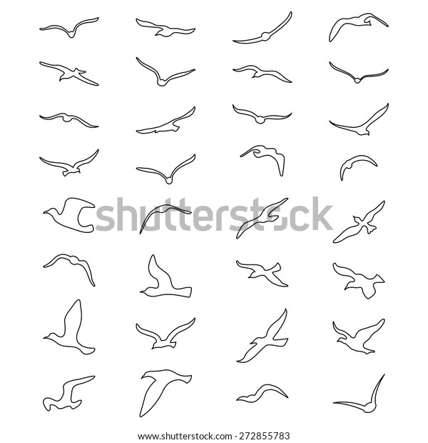 Vector Set Linear Seagull Outlines Flying Stock Vector (Royalty Free ...