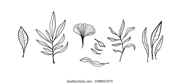 Vector set of linear sketches of cute flowers for decoration of wedding cards and greeting letters, invitations. Thin lines, black and white illustrations are isolated on white background. Poppy