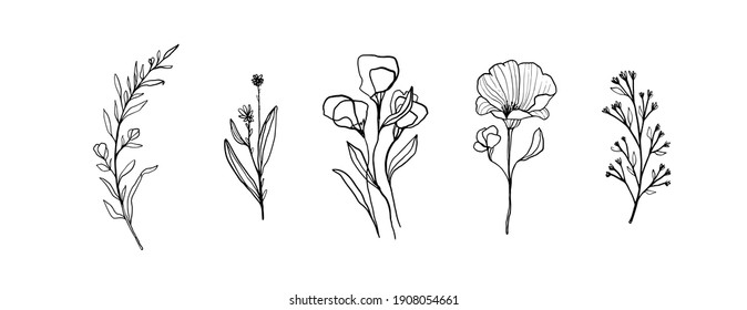 Vector set of linear sketches of twigs with leaves for the design of wedding cards and greeting letters, invitations. Thin lines, black and white illustrations isolated on white background.
