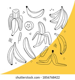 Conjunto de vectores de plátanos de arte de línea. Banana sobremadura, plátano simple, plátano pelado, mantillo de plátanos. Iconos aislados dibujados a mano