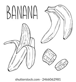 Vector Set of Line-Art Bananas. Overripe Banana, Single Banana , Peeled Banana, Bunch of Bananas.