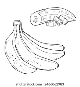 Vector Set of Line-Art Bananas. Overripe Banana, Single Banana , Peeled Banana, Bunch of Bananas.