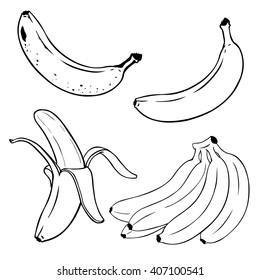 Vector Set of Line-Art  Bananas. Overripe Banana, Single Banana , Peeled Banana, Bunch of Bananas.