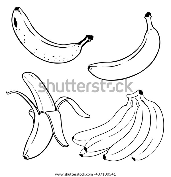 Vector Set Lineart Bananas Overripe Banana Stock Vector Royalty Free