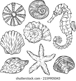 Vector set of line-art shells, seahorse and starfish.