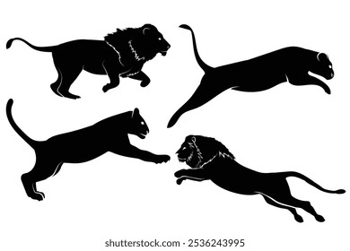 Vector set of lions silhouette isolated on white background. Lions silhouette collection