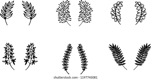 Vector Set of little decorative ear plants branch on white background