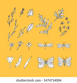 Vector set of little flowers and butterflies on a yellow background. Collection of leaves, stems and flowers for invitation design, greeting card, design fabric pattern, gift wrapping, packing, site