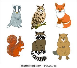 vector of set little wild animals