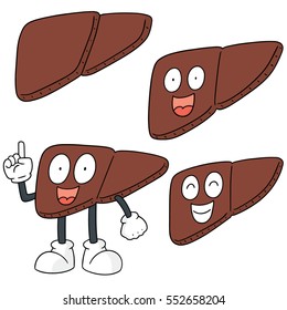 vector set of liver cartoon