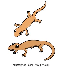 vector set of lizards