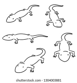 vector set of lizards