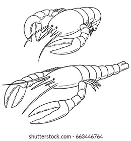 vector set of lobster