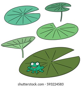 vector set of lotus