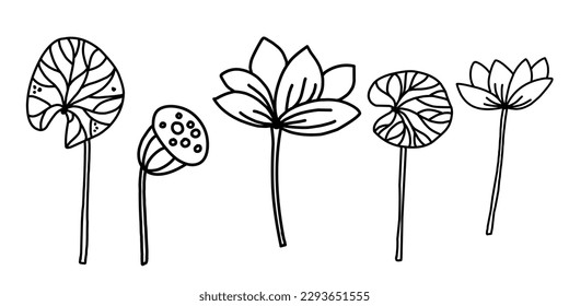 Conjunto vectorial de loto en estilo doodle. Elemento para el diseño