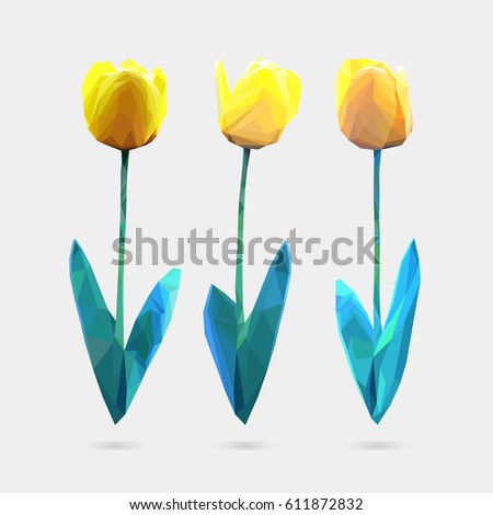 Vector set of low poly style flowers tulip. Polygon flower vector illustration. Logo design.
