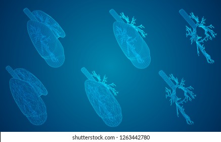 vector set. lungs and bronchi. 3d elements for design