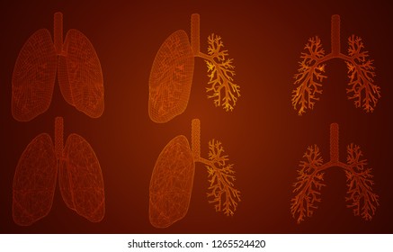 vector set. lungs and bronchi. 3d elements for design