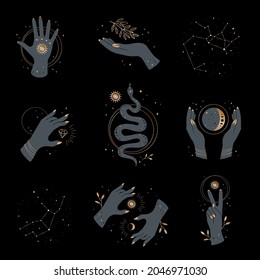 Vector set of magical illustrations.A collection of women's hands with magical symbols.