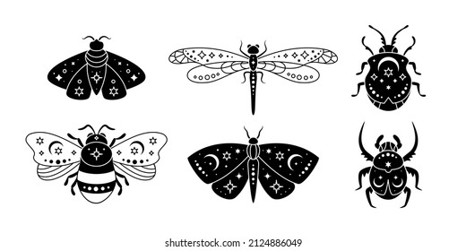 Conjunto vectorial de insectos mágicos al estilo bohemio. Colección mística de luna moth, mariposa, bicho, libélula, abeja. Un insecto mágico sobre fondo blanco. Colección celestial geométrica