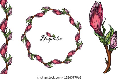 Vector set with Magnolia flowers . Spring flowers