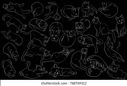 Vector set of many cats. Silhouette in different poses. Pets