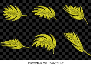Vector set of the maple, oak, rowan and chokeberry yellow leaves isolated