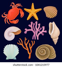 Vector set of marine elements. Red crab, starfish, tropical corals and shells. Sea and ocean theme. Decorative aquarium items. Detailed objects of underwater world