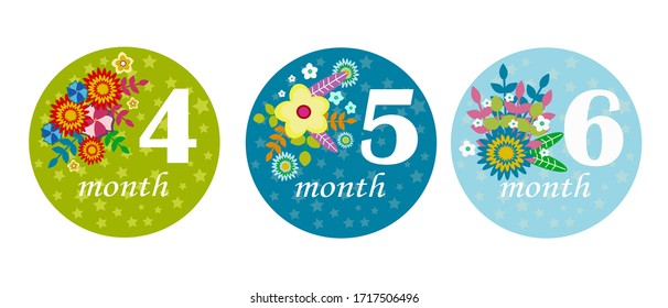 Conjunto vectorial de etiquetas de hito con flores y números. Primer año de bebé. Etiquetas mensuales para niñas. Colección de emoticones para el mes de los recién nacidos. Aislado en blanco. 4 a 6 meses