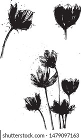 Vector set of minimalistic black cosmea flowers icon with splashes stylized as ink illustration. Hand drawn isolated on a white background.