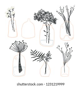 Vector set of minimalistic elegant glass vases with plants, flowers and leaves. Scandinavian hygge elements perfect for textile, fabric, posters, cards