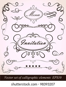 vector set of modern calligraphic elements