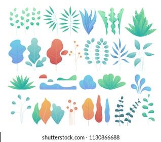 Vector set of modern flat plants, trees and bushes.