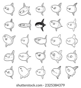 vector set of Mola mola fish illustration isolated on white background.