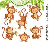 Vector set with monkey in different poses. Vector animal collection in cartoon style.