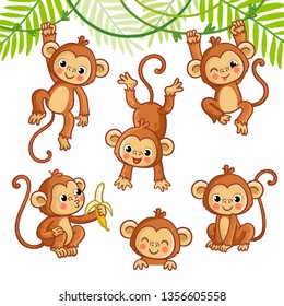 Vector set with monkey in different poses. Vector animal collection in cartoon style.