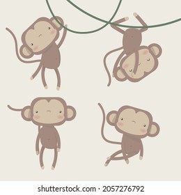 Vector set with monkey in different poses. Vector animal collection in cartoon style.