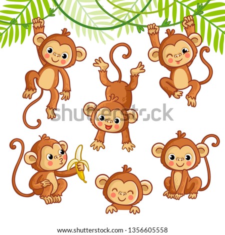Vector set with monkey in different poses. Vector animal collection in cartoon style.