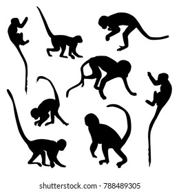 Vector set of monkey silhouettes