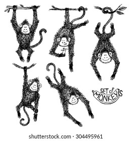 Vector set of monkeys