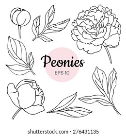 Vector set of monochrome black and white peony flower isolated on white background. Hand-drawn contour lines