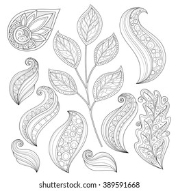 Vector Set of Monochrome Contour Flowers and Leaves, Floral Design Elements