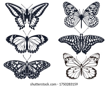 Vector set of monochrome detailed butterflies on white background in flat style. Templates for the design of handmade and children's creativity.