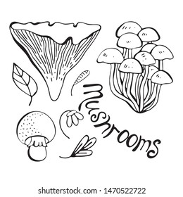 Vector set of monochrome forest mushrooms. Hand drawing black line. Isolated objects on white background. Lettering. Assortment of mushrooms, white fungus, honey mushrooms, chanterelles, boletus.