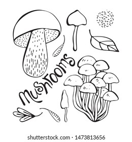 Vector set of monochrome forest mushrooms. Hand drawing black line. Isolated objects on white background. Lettering. Assortment of mushrooms, white fungus, honey mushrooms, chanterelles, boletus.