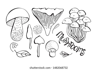 Vector set of monochrome forest mushrooms. Hand drawing black line. Isolated objects on white background. Lettering. Assortment of mushrooms, white fungus, honey mushrooms, chanterelles, boletus.