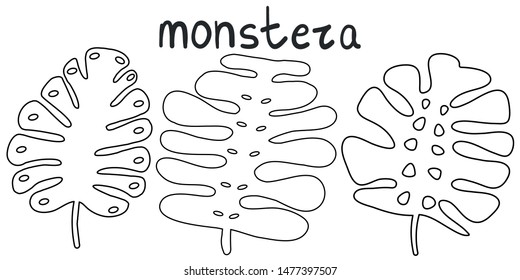 Vector set monstera leaves. Isolated elements on white background. Good as pattern elements, frame parts, prints. 