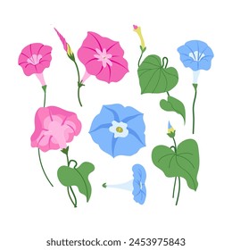 Vektorgrafik Set von Morgenglanz rosa Blüten und Blätter auf Stems isoliert auf weißem Hintergrund. Sommergarten Pflanze botanische Illustration für Grußkarten, Hochzeitseinladung, Textilien, Bildschirmhintergrund