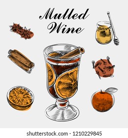 Vector set of mulled wine elements and objects. Composition of mulled wine recipe in Sketch style. Collection of Honey, cinnamon sticks, orange, star anise, cloves isolated on white background.
